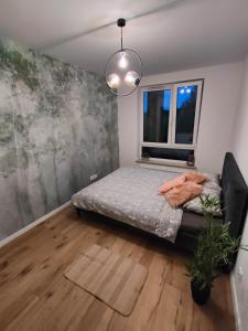 Apartament Leśna Mandala