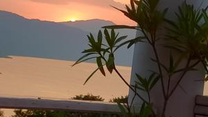 Marković Apartments (vidikovac)