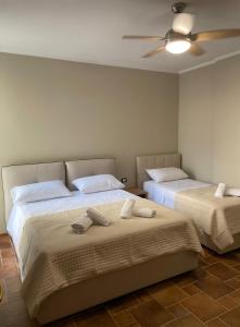 Aquamarine Dreams Apartments in Beach of Durres 150 m from Sea