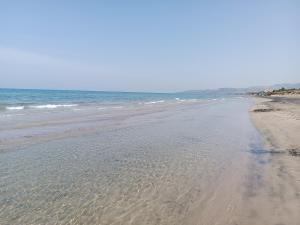 Il ginepro e la lantana img37