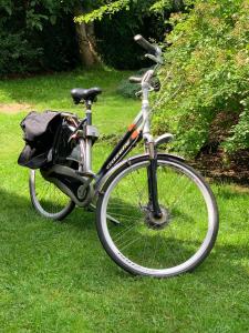 Apartamenty Świerkowa 10