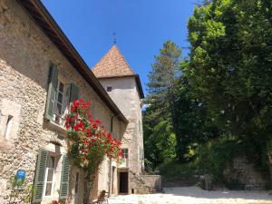 Maisons d'hotes Domaine du Tres-Haut - Chateau de Montanges : photos des chambres