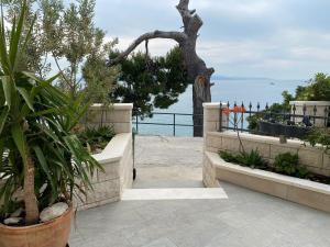 Studio Promajna 2592a