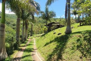 Casa Verde - #casinhasscherer