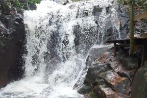 Casa Verde - #casinhasscherer