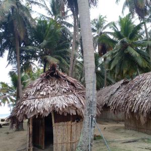 Cabañas tradicionales en isla Aroma San blas