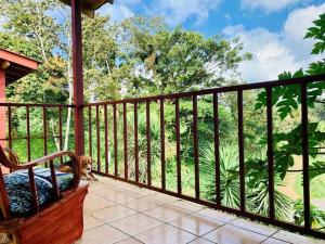 Beautiful Casa Cabaña near Lake Arenal in Nuevo Arenal - Cas, Nuevo Arenal