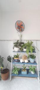 Ánh Dương Homestay - Coastal stop - Just 2 mins walking to Eo Gio