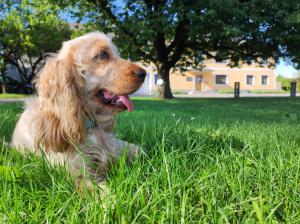 Peterseils Radl Zimmer