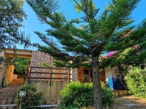 Casa Araucaria