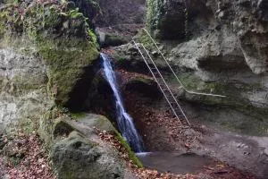 Patak apartman - Pilisszentlászló