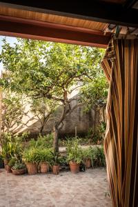 Sa Domu de Ladiri - matrimoniale con giardino