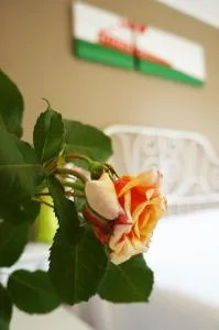 Alexander Rooms - Brusio