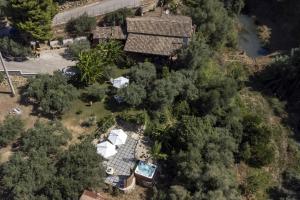 Villa with Garden View