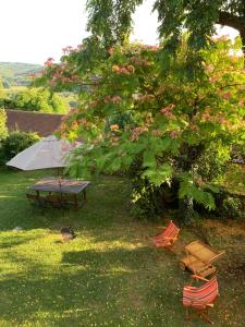 Maisons de vacances Les Volets Rouges : photos des chambres