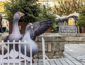 Appartements Le Clos de la Sagesse : photos des chambres