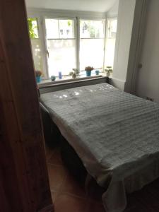 Altstadtnest