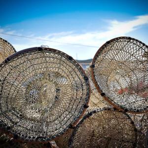 Dimora Arborea img37