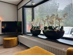 Gezellig chalet met 2 slaapkamers aan bosrand