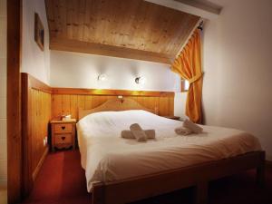 Appartements Apartment on the slopes in the big ski area Grandes Rousses : photos des chambres