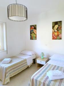 Annas HOUSE Solarium Terrace