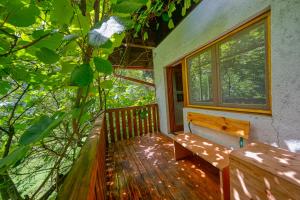 Cottage surrounded by forests - The Sunny Hill