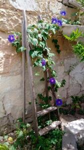 Cera una Volta il Salento