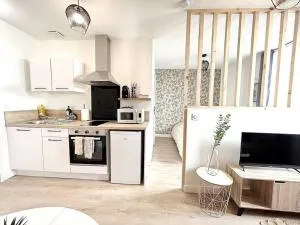 La Tourmaline Rouge - Romans - Mours-Saint-Eusèbe