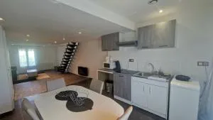 Givors Centre Duplex meublé - 沙萨尼