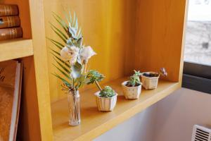 Departamento Centrico en Villa Carlos Paz