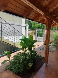 Apartman Kovač-Bilje - Zmajevac