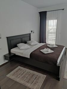 Double or Twin Room with Private External Bathroom room in Pensiunea Tincu