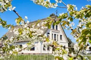 Cityappartement am Kirschberg - Stadtroda