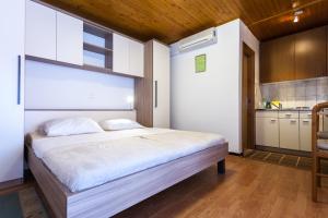 Studio with Sea View and Terrace room in Villa Croatia