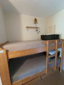 Appartements Appt 4 pers au Pla d' Adet, Residence le Grand Stemm , station de ski Saint Lary : photos des chambres