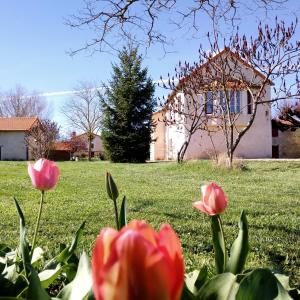 Maisons de vacances Au repos des elfes : photos des chambres