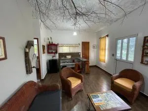 Darwin's temple - Progreso