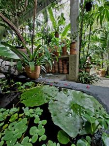 Residencial Casa Flor Atelier Botânico, Ponta Negra