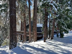 Sweet Arnold Cabin