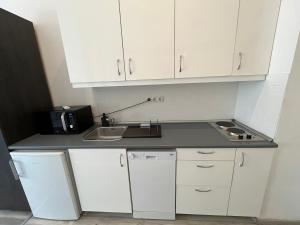 D58 Superior Apartments in the city center