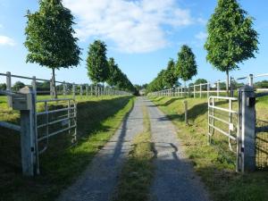 Sejours a la ferme La Petite Maison : photos des chambres