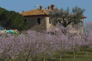 Agriturismo Il Sassolino