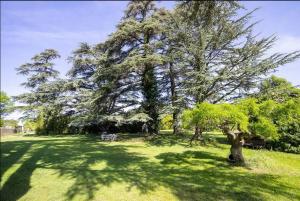 Villas Bastide hors du temps, Cedres centenaires et Fontaine - Provence : Villa 1 Chambre