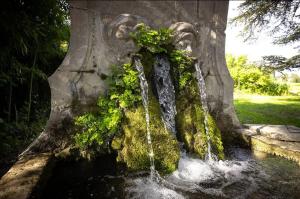 Villas Bastide hors du temps, Cedres centenaires et Fontaine - Provence : photos des chambres