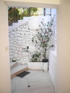 Kostas Studios Lefkada Greece