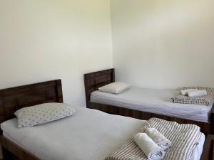 Guest House Oasis - Tvishi