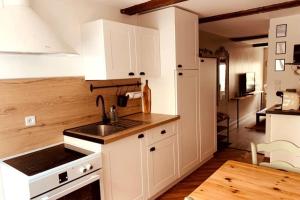 Appartements Appartement 'Le Taillandier' hyper centre, calme et chaleureux : photos des chambres
