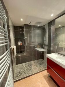 Appartements Mandelieu apartment : photos des chambres
