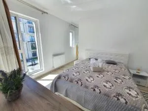 Minas Dream - Tăuţii