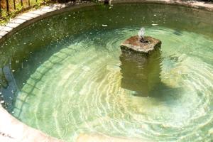 Appartements Bastide hors du temps. Jardin, Fontaine - Provence : photos des chambres